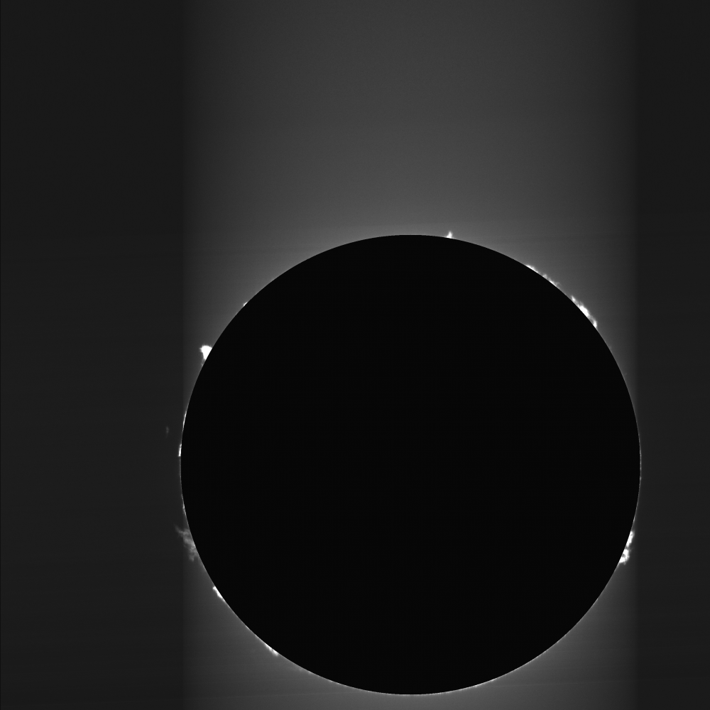 _11_57_35_protus